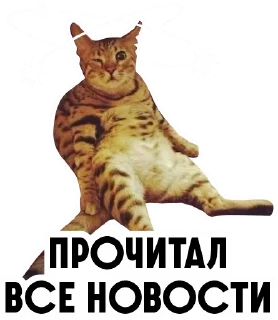 Sticker granica46 - 2