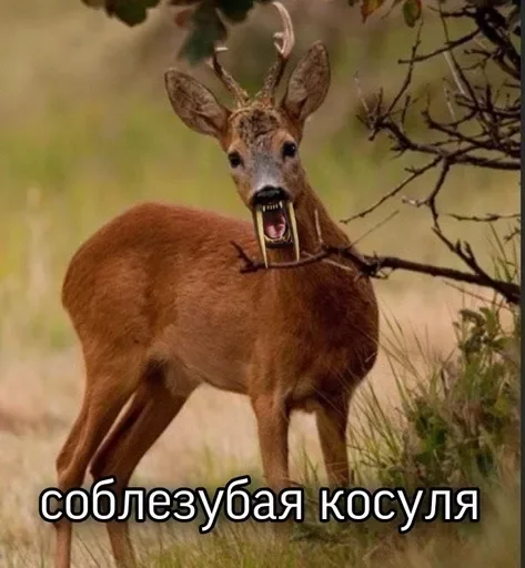 Стикер грязь для своих - 3