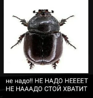 Sticker беседы с башкой - 11