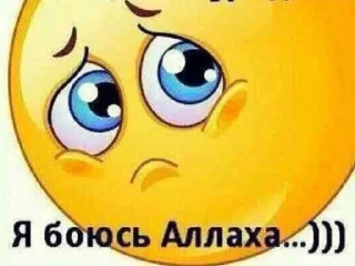 Sticker беседы с башкой - 6