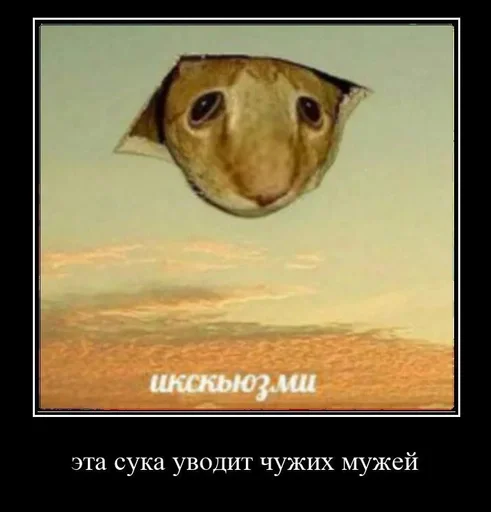 text screenshot animal