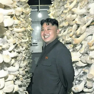 Sticker 위대한 leaders - 7