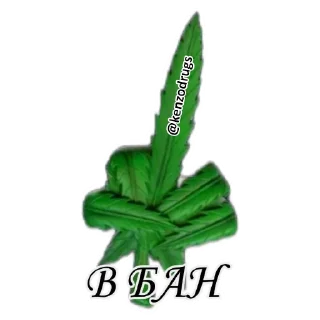 Sticker Green Dream Store - 5