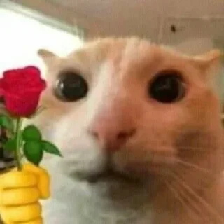 Sticker Открытки - 10