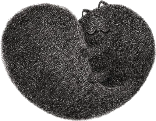 Sticker Grey cat @tvstickers - 7