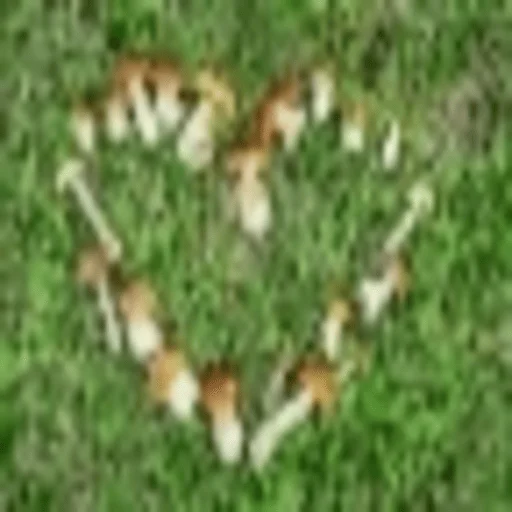 Sticker gribi_dlya_druzei - 1