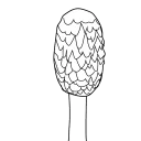 Sticker Грибы - 9