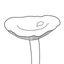 Sticker Грибы - 5