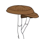 Sticker Грибы - 2