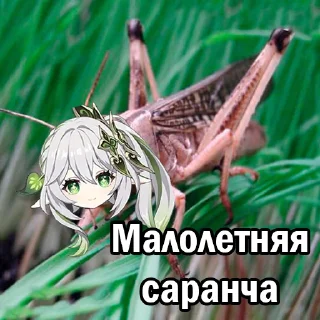 Стикер гришка пишет - 6