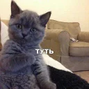 Стикер gruppovuha - 10