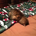 Стикер gruppovuha - 6