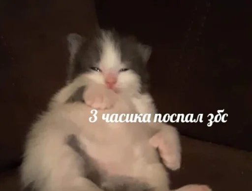 Sticker ot.tebya.toshnit - 8