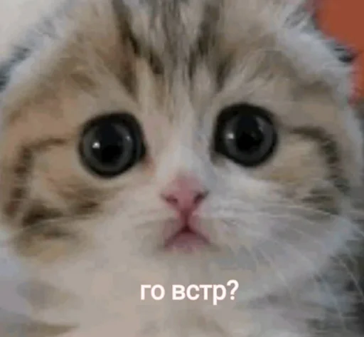 Sticker ot.tebya.toshnit - 6