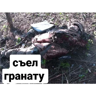 Стикер 200🇺🇦🏳‍🌈 - 3