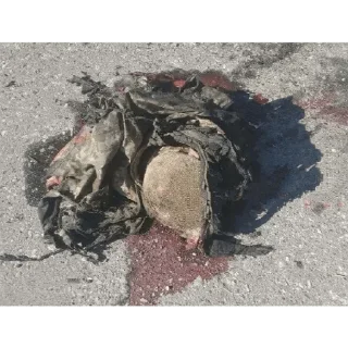 Стикер 200🇺🇦🏳‍🌈 - 9