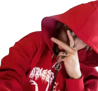 Sticker lil morty - 2