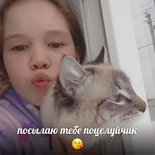 Sticker алоу :: @fStikBot - 5