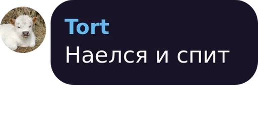 text screenshot mammal