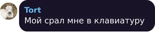 text screenshot font