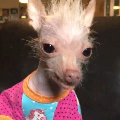 Стикер сметанка pack by @QuotLyBot - 5