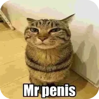 Sticker @stiki_tg_nah_canal - 5