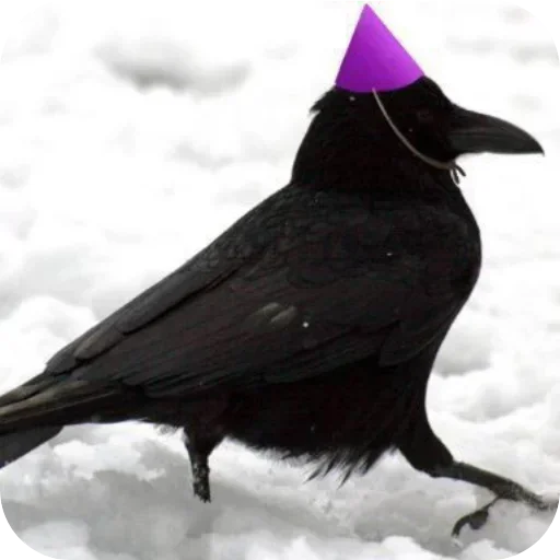 Больше стиков тут: @stikery4 - 