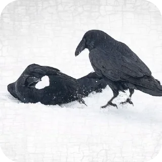 Sticker Больше стиков тут: @stikery4 - 11