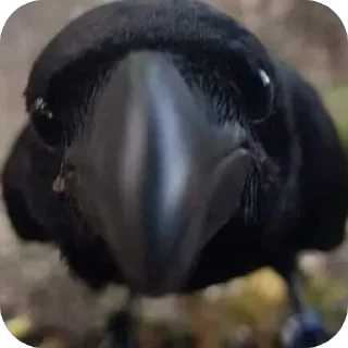 Sticker Больше стиков тут: @stikery4 - 5