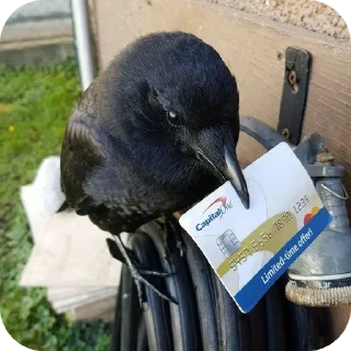 Sticker Больше стиков тут: @stikery4 - 8