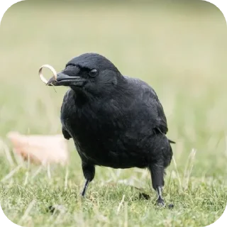 Sticker Больше стиков тут: @stikery4 - 9