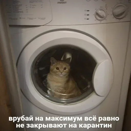 Sticker guTGGKTMeh_by_stickers_stealer_bot - 1