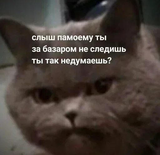 Sticker guTGGKTMeh_by_stickers_stealer_bot - 1