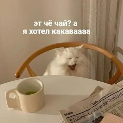 Sticker guTGGKTMeh_by_stickers_stealer_bot - 1