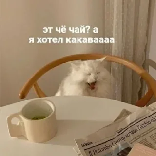 Sticker Больше стикеров 👉🏻 @stickertg4 - 2