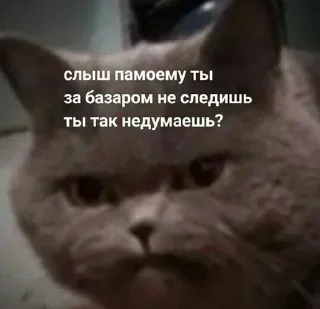 Sticker Больше стикеров 👉🏻 @stickertg4 - 4