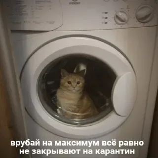 Sticker Больше стикеров 👉🏻 @stickertg4 - 8