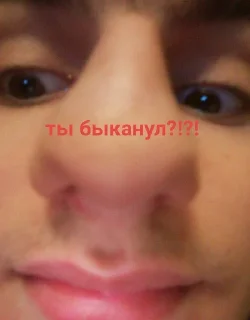 Sticker 10-(А)я гвардия Горовой - 2