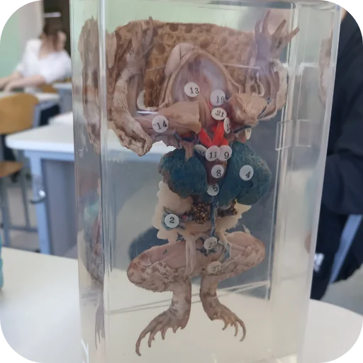 Стикер gus7469 - 1