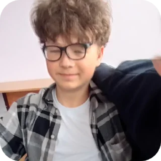 Sticker гусь - 5