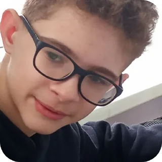 Sticker гусь - 1