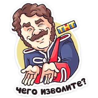 Стикер Гусар ТНТ - 8