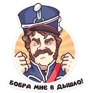 Стикер Гусар ТНТ - 6