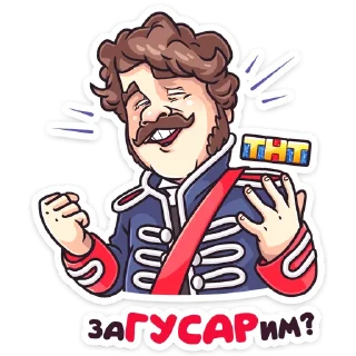 Стикер Гусар ТНТ - 0