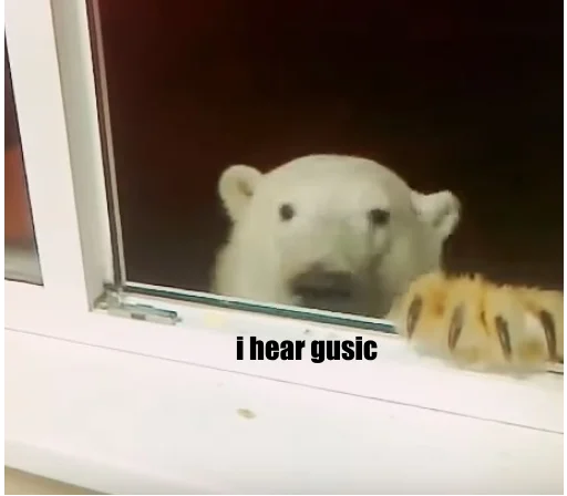 животное млекопитающее медведь