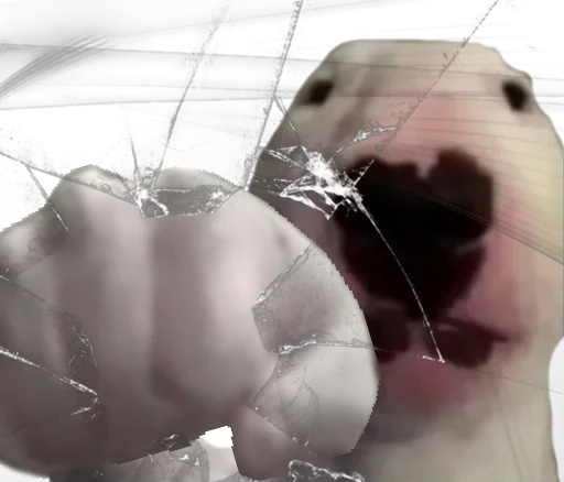 Стикер gusic - 4