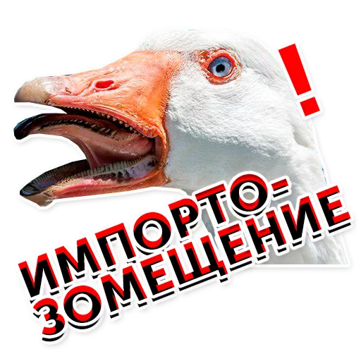 СМС животное гусь