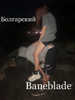 Sticker Собрание гусей - 5