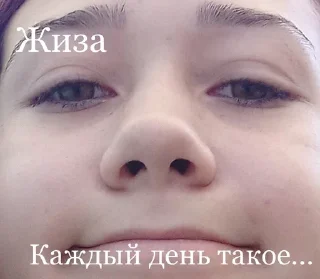 Sticker Собрание гусей - 6