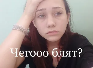 Sticker Собрание гусей - 2